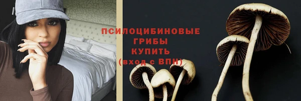 соль ск Аркадак