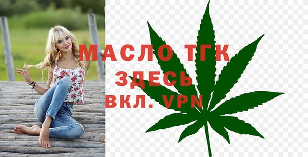 эйфоретик Гусев